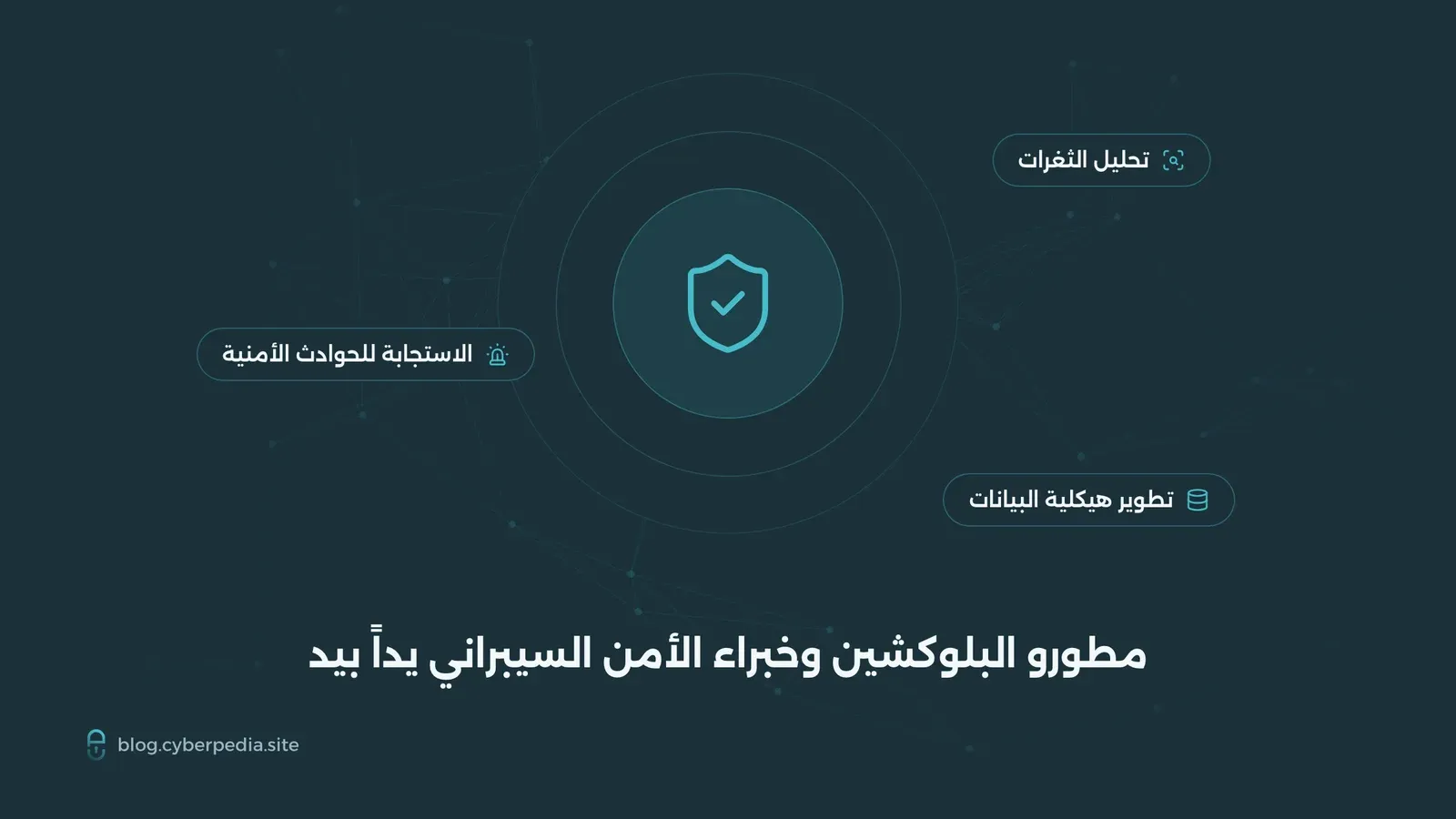 مطورو البلوكشين وخبراء الأمن السيبراني يتعاونون في تحليل الثغرات والاستجابة للحوادث الأمنية وتطوير هيكلية البيانات
