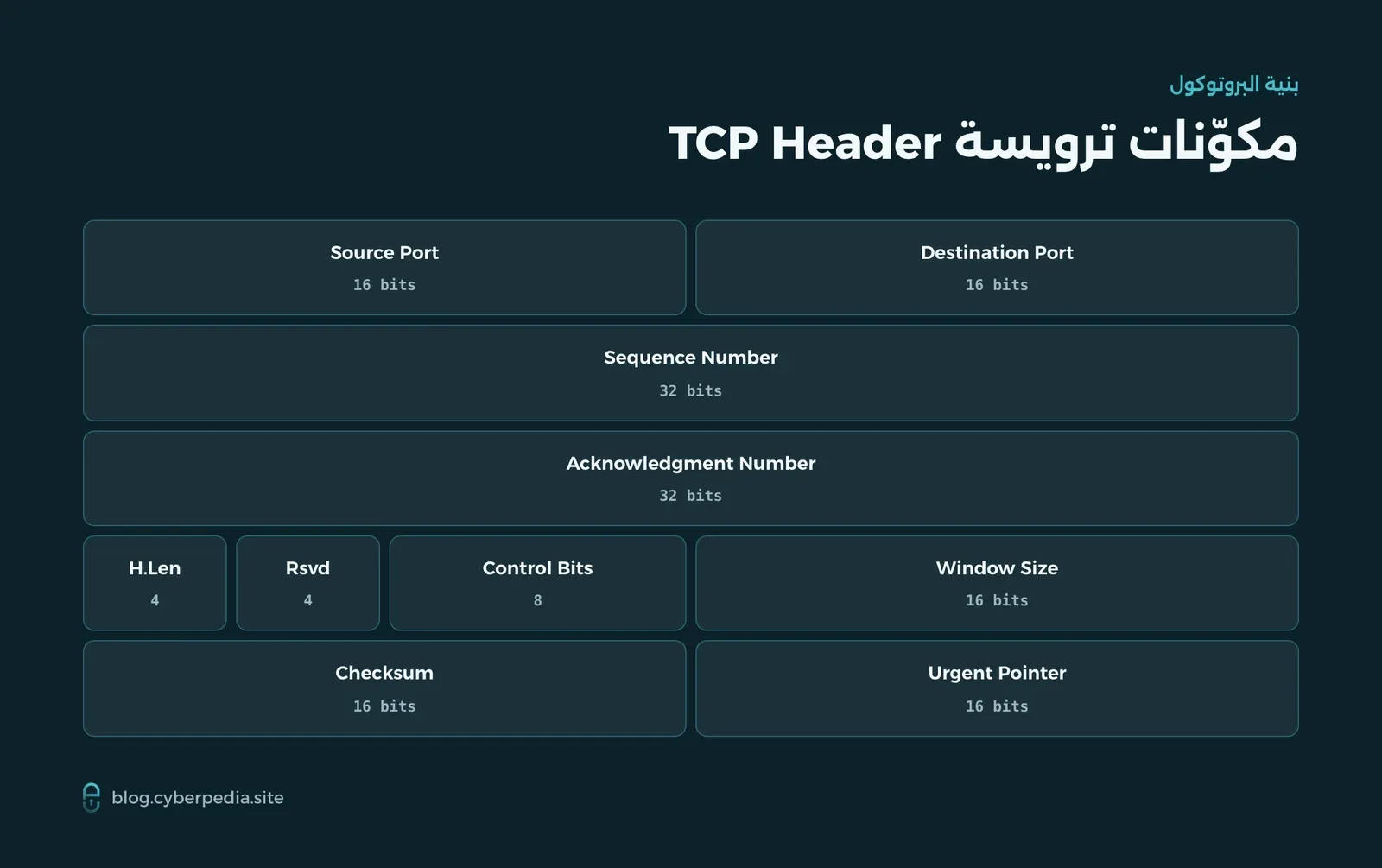 مخطط ترويسة TCP Header وحقولها: المنافذ وأرقام التسلسل والإقرار وبتات التحكم وحجم النافذة والتحقق
